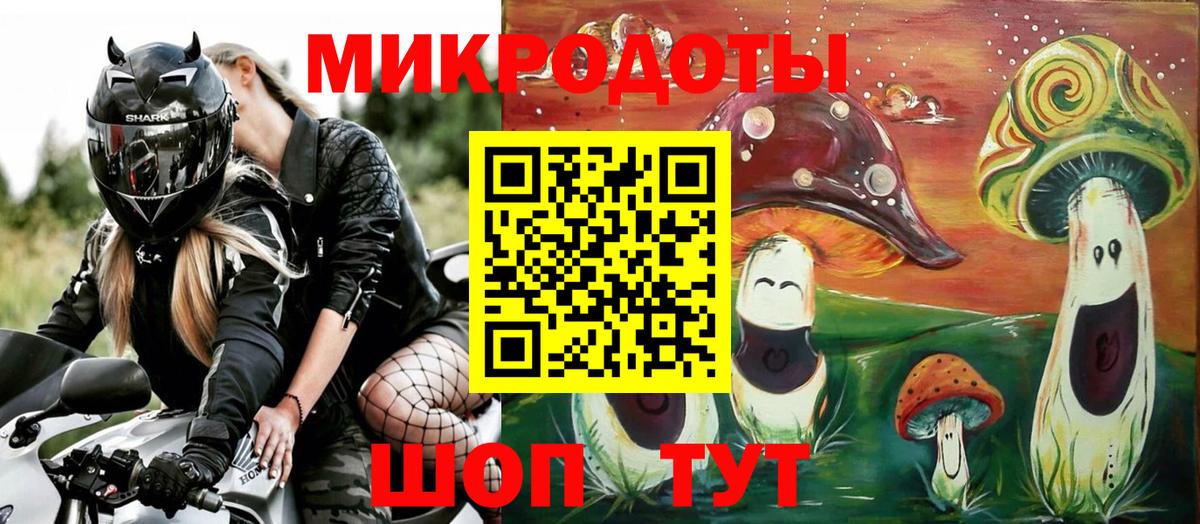 Псилоцибиновые грибы мицелий Биробиджан