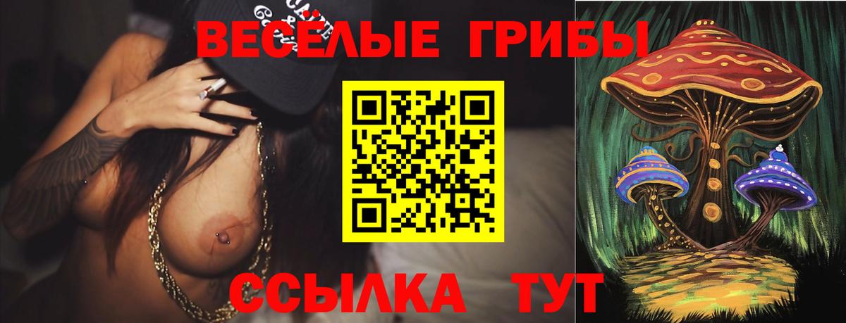 Псилоцибиновые грибы MAGIC MUSHROOMS  Галлюциногенные грибы ЛСД  Биробиджан  Вход с VPN 
